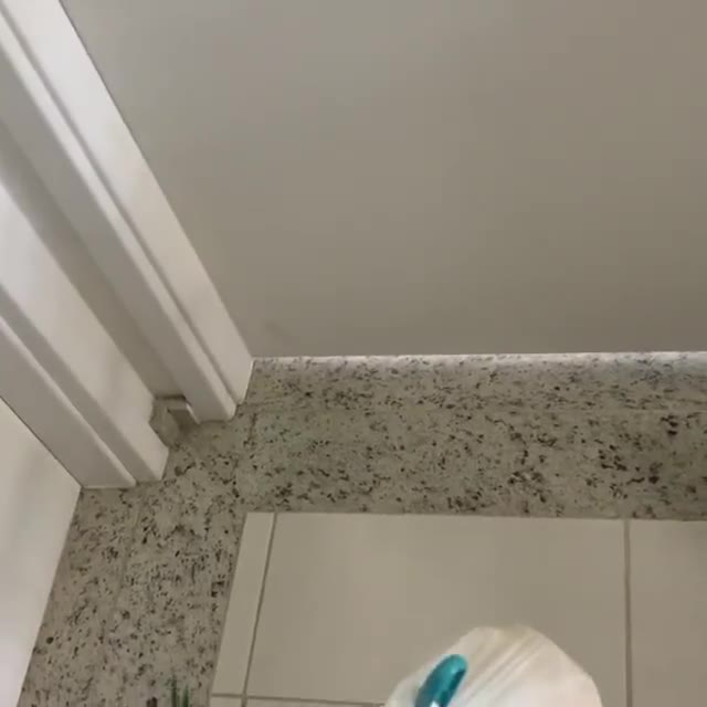 Vídeo: homem usando o Pega Sacola